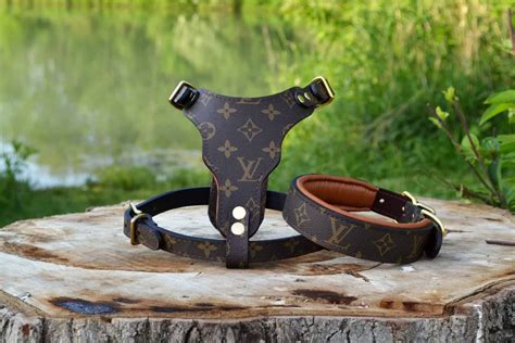 louis vuitton mens harness|louis vuitton dog collar large.